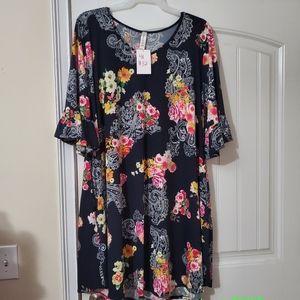 Gypsy Willows brand, plus size Boutique dress.